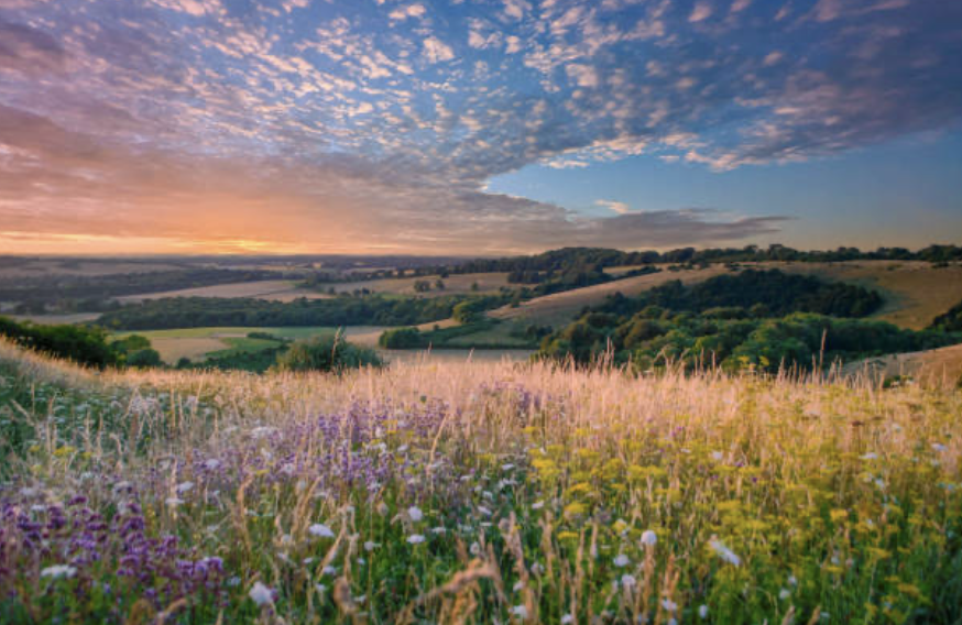 Once you become a member of Restore Britain, you can vote on policy and even suggest your own.  This is true democracy.  Debate is welcomed.  Imagine that❤️

I suspect the majority of Reformers want this too.  Once they make the connection, they will be truly "home".