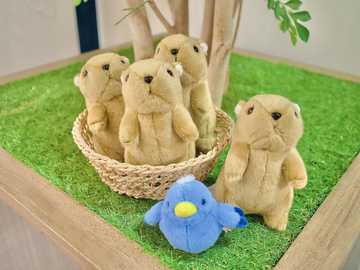 神戸三宮店】 アルプスの少女ハイジオフィシャルショップ ✨新入荷＆再