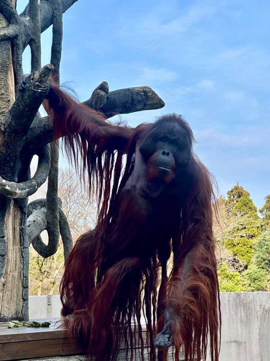 小雪🥀 tweet media