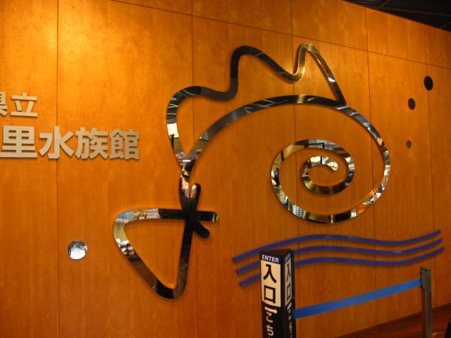 ⋆˚࿔ tweet media