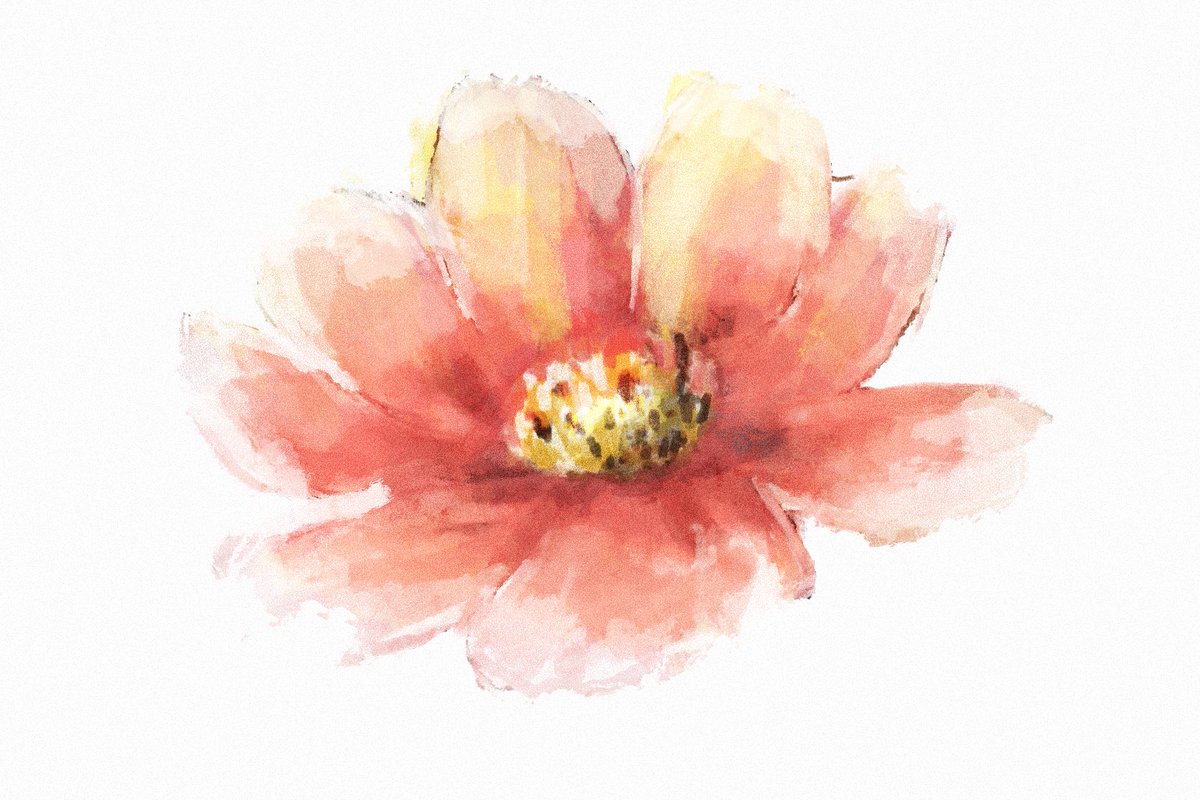 花を水彩画風に描いた動画🌷