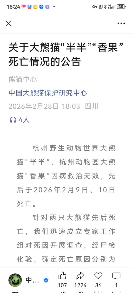 syanzuka's tweet photo. 訃報:ファンの皆さんが心配していた杭州野生動物世界の半半と杭州動物園の香果が、2月9日と2月10日にそれぞれ腸閉塞と腸間膜捻転のため亡くなり、パンダ星へと旅立ちました。残された壹壹と春生は、既に四川に戻りました。半半と香果どうか安らかに!! [流泪] https://t.co/g23rhIqwsO