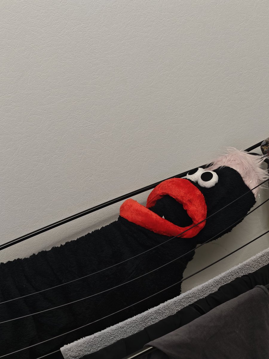 хромой енот tweet media