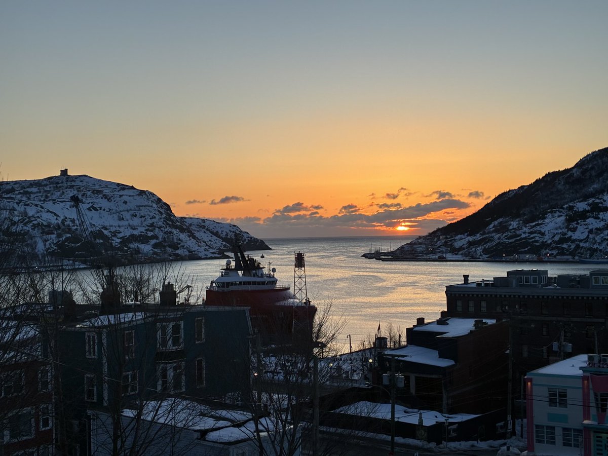 Francesca Swann tweet media