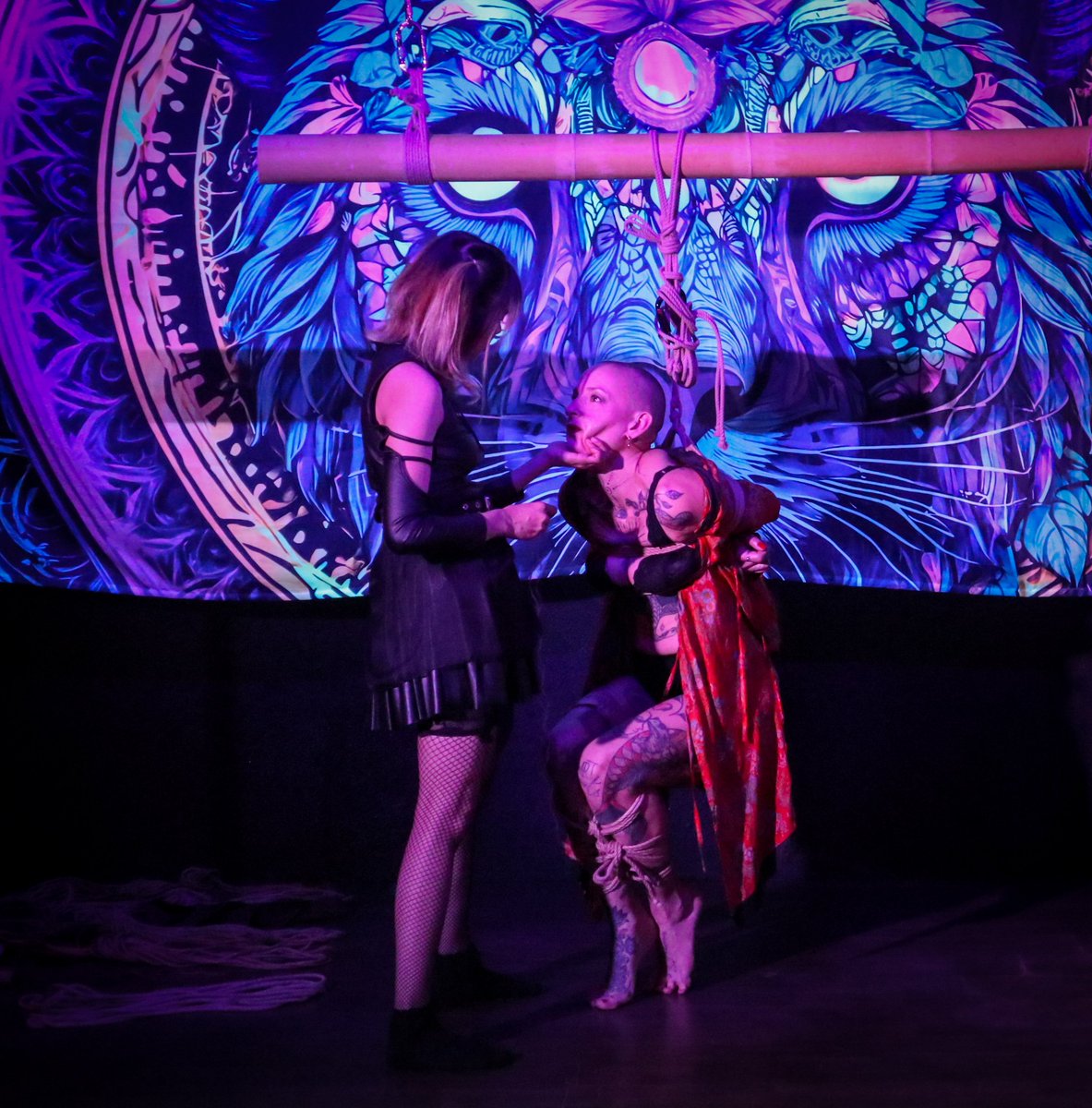 ThatToxicSerialTie-r tweet media