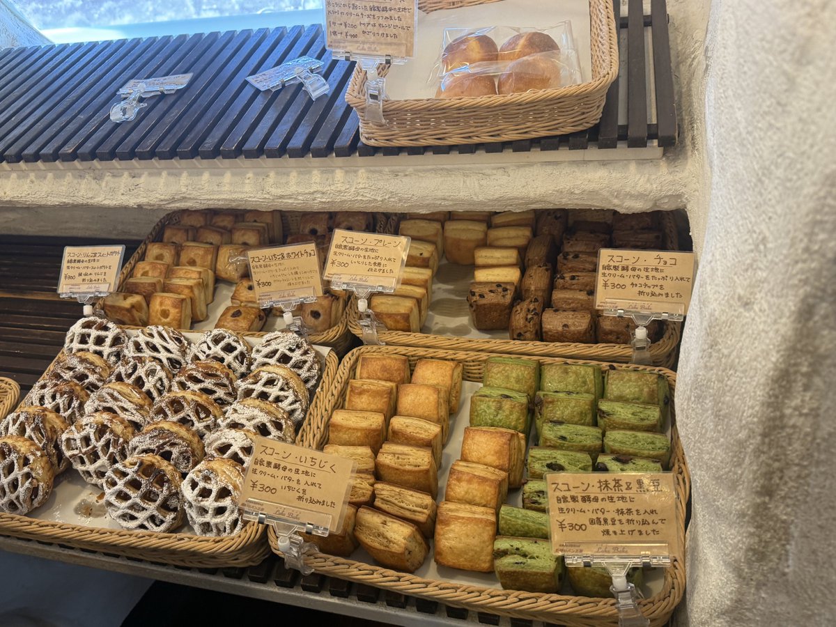 ⋆˚࿔ tweet media