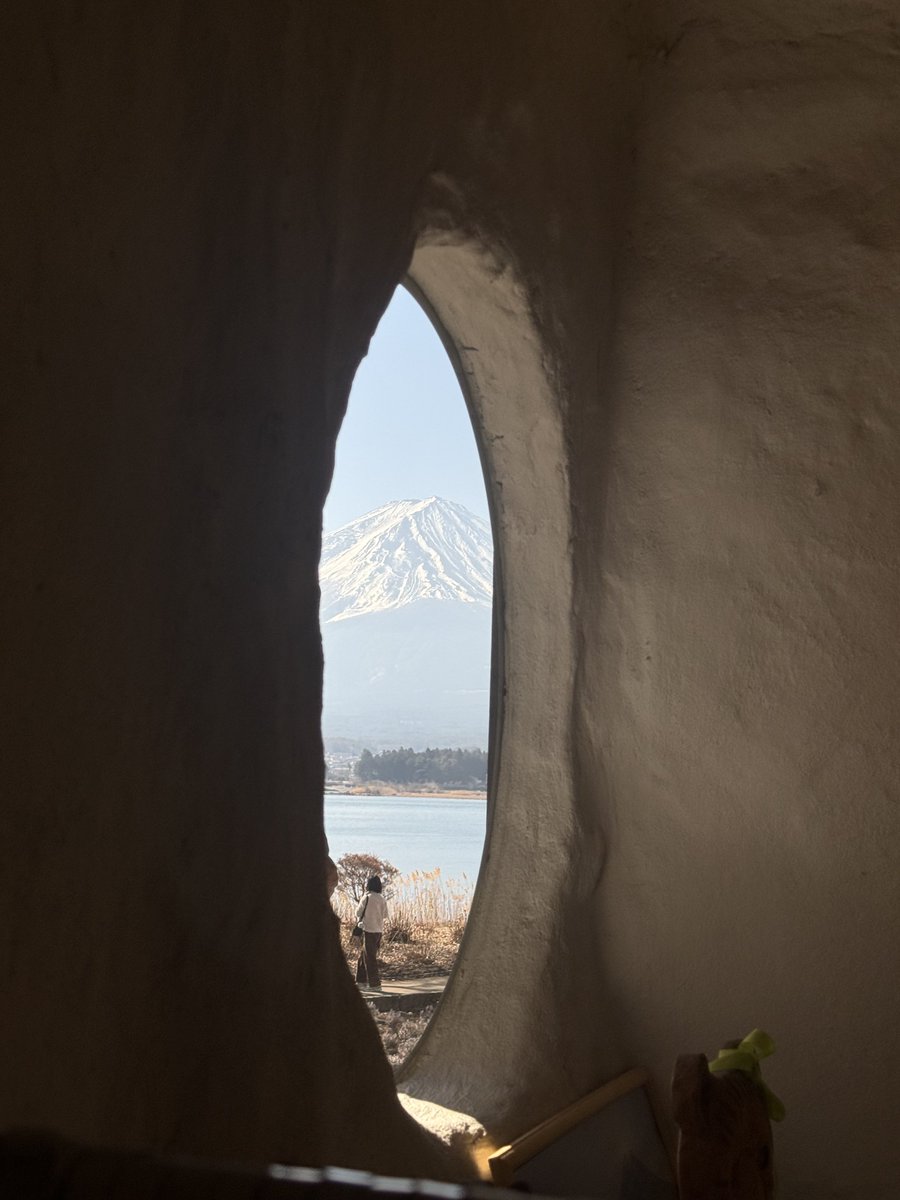 ⋆˚࿔ tweet media