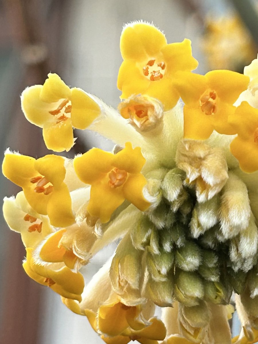 ピース🩵💚 (@momo35peach) / Posts / X