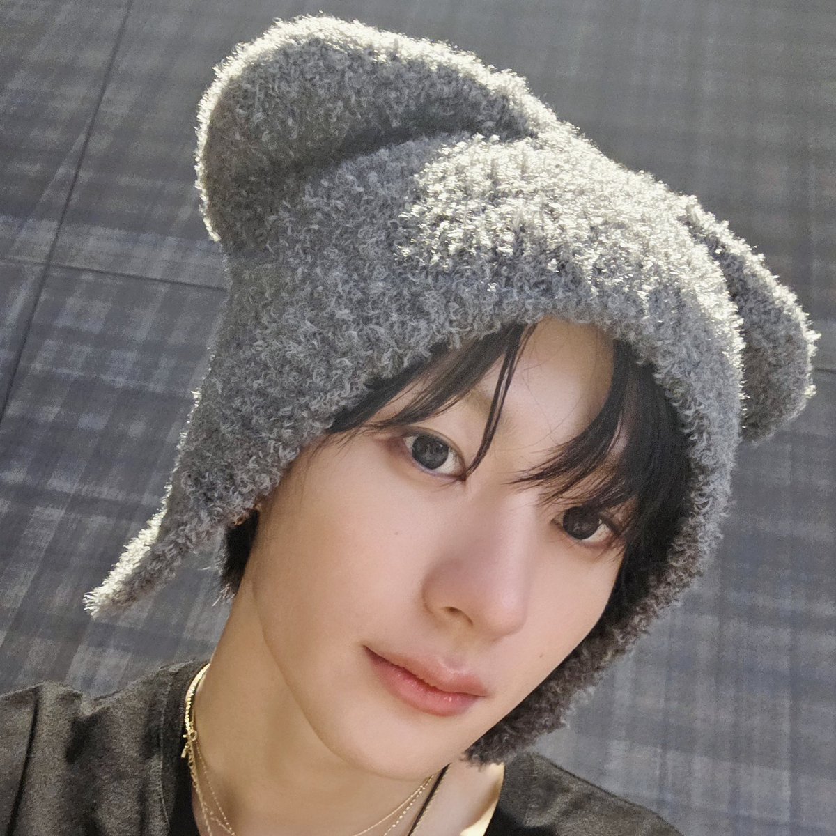 🐶🐷 tweet media