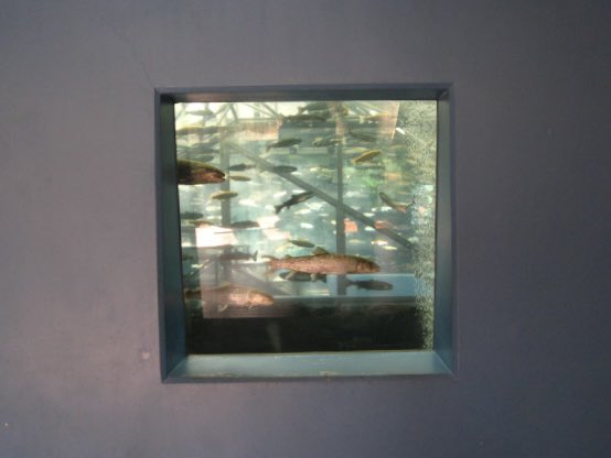 ⋆˚࿔ tweet media