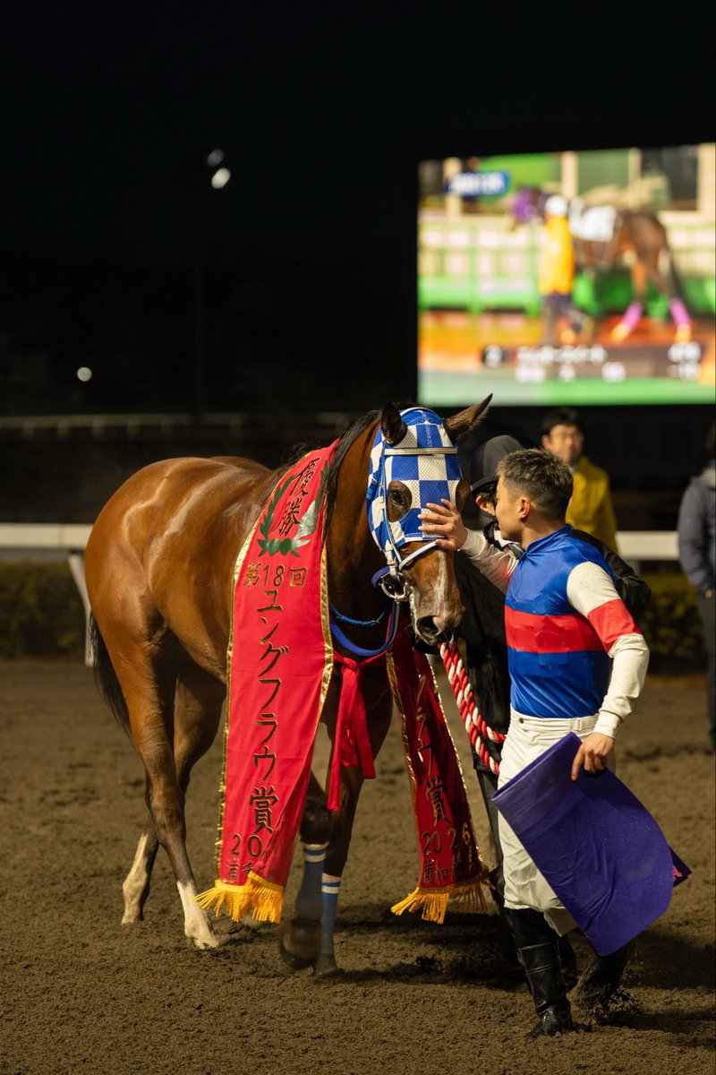 野畑凌 tweet media