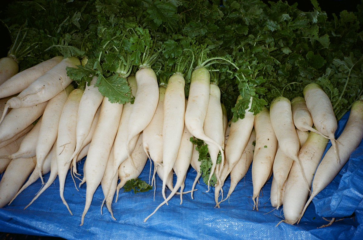 みさき(song_for_solitude) tweet media