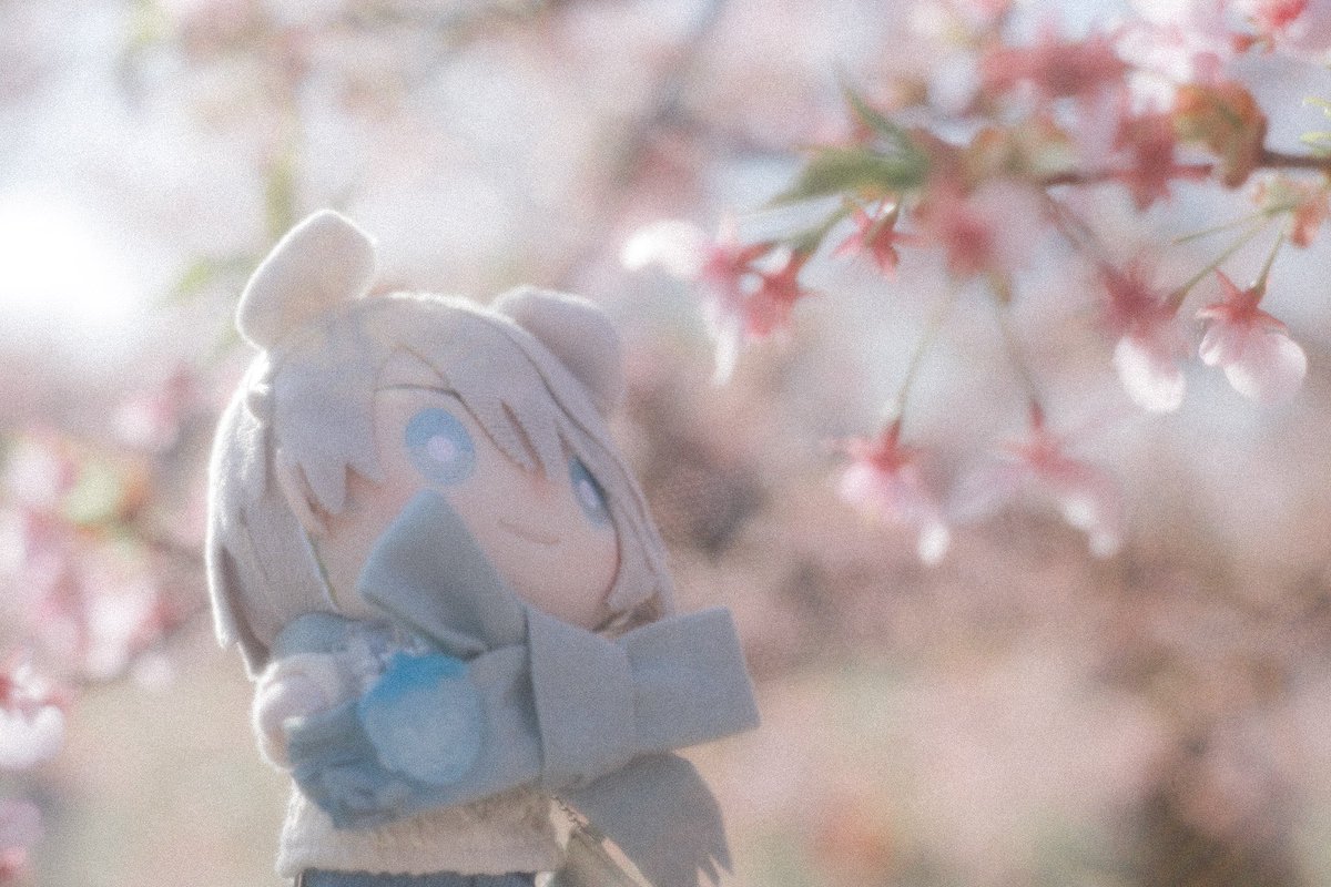 はる はっけん❣️