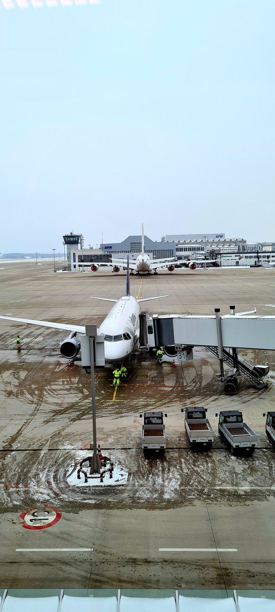 Dessanderlord's tweet photo. I ❤ #DRS
#Dresden #EDDC #airbus #Lufthansa https://t.co/bdJw5UqemQ