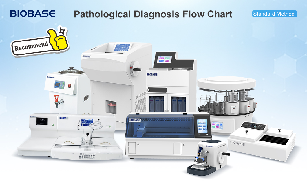 BIOBASE_CHINA's tweet image. Upgrade your pathology lab with BIOBASE’s complete solution:
Tissue Processor, Cryostat Microtome, Automated Stainer, Paraffin System &amp;amp; more.
Precision workflow. Reliable results.
#Pathology #Histology #LabEquipment #BIOBASE