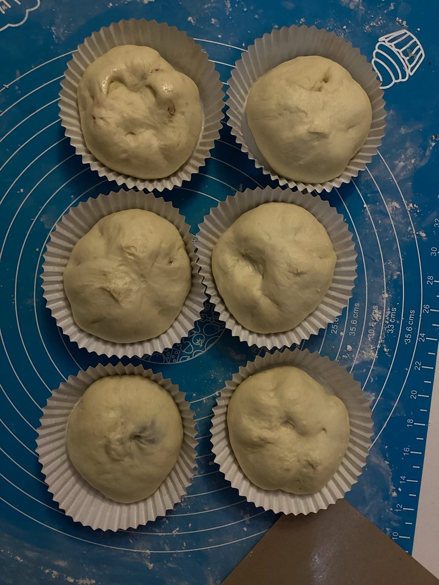 oyak’s🪗 🐾rest🐾 tweet media