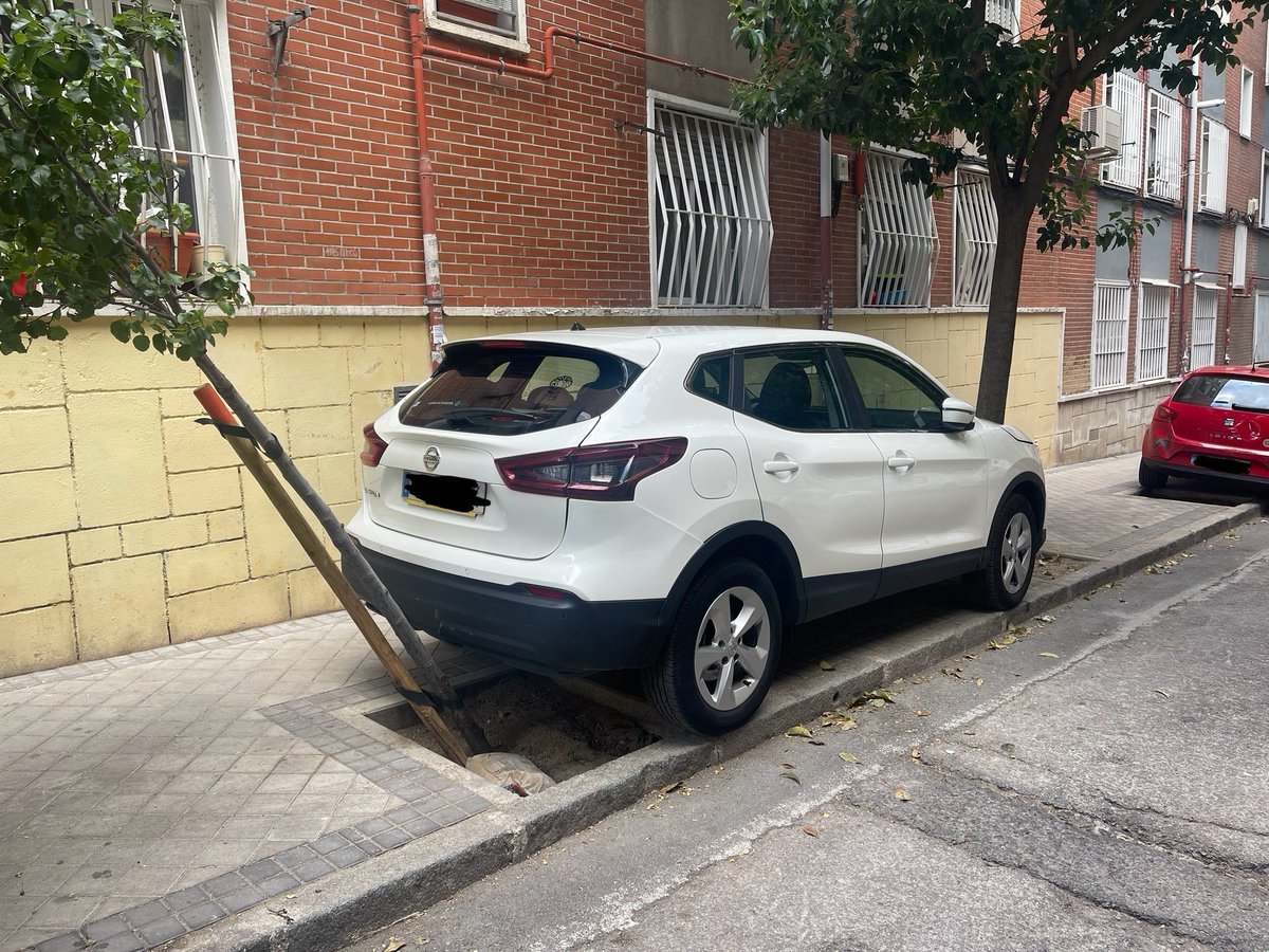 🌳 Estamos hartos del maltrato y abandono del (poco) arbolado que tenemos en nuestras calles.
<a href="/bcarabante/">Borja Carabante</a> <a href="/AngelNinoQ/">Ángel Niño</a> os pedimos intensificar vigilancia y bolardos que los protejan.

👉 En calles como Monte Igueldo, Pico del Alba o Cuartel Simancas, por ejemplo, es una constante