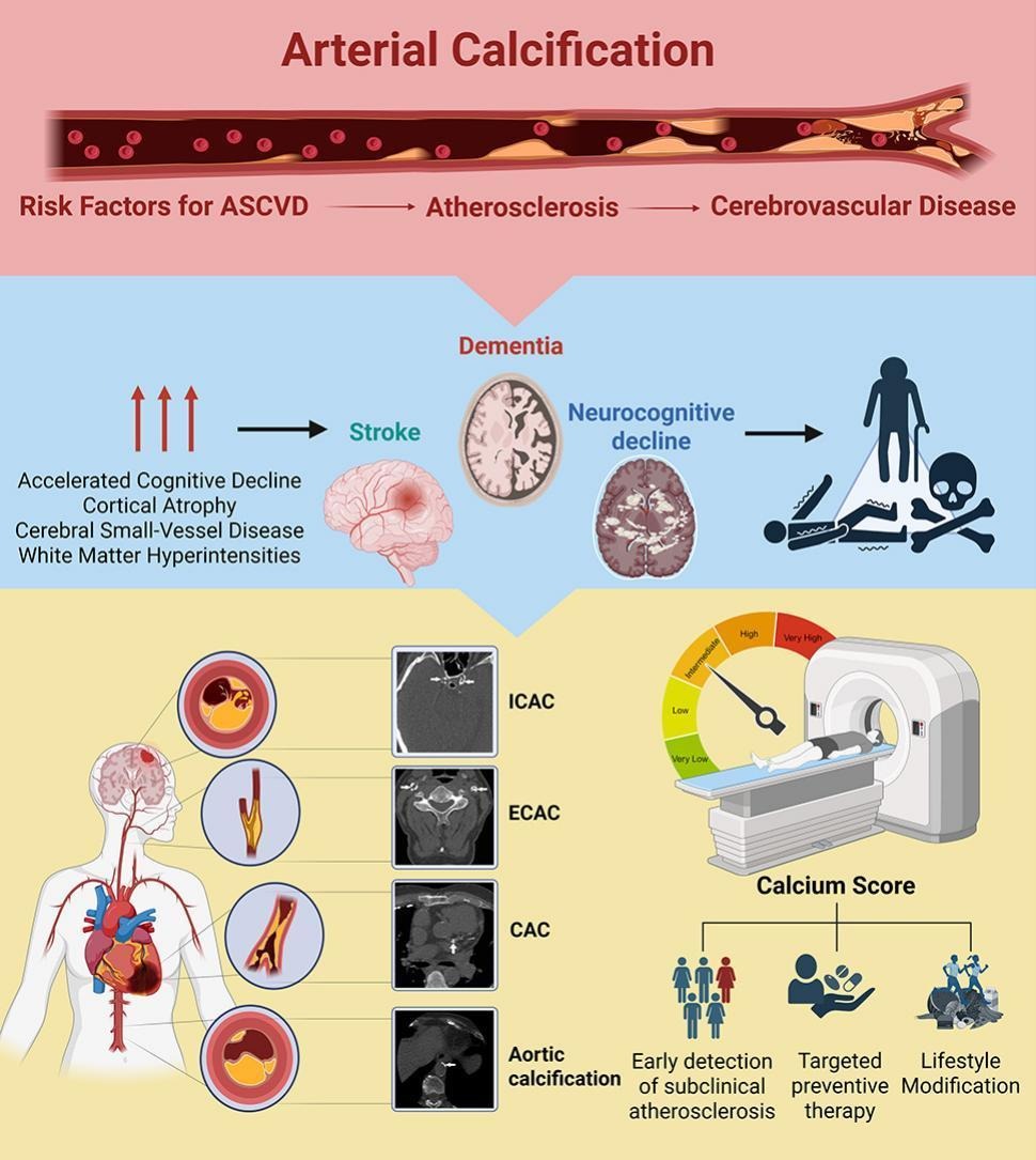 Progress in Cardiovascular Diseases tweet media