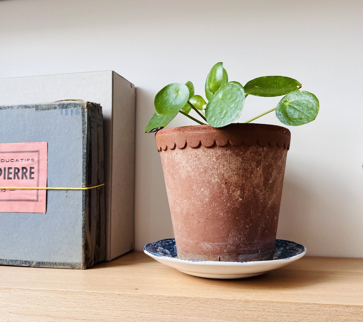 ✰ Weekend Poetry ✰ tweet media