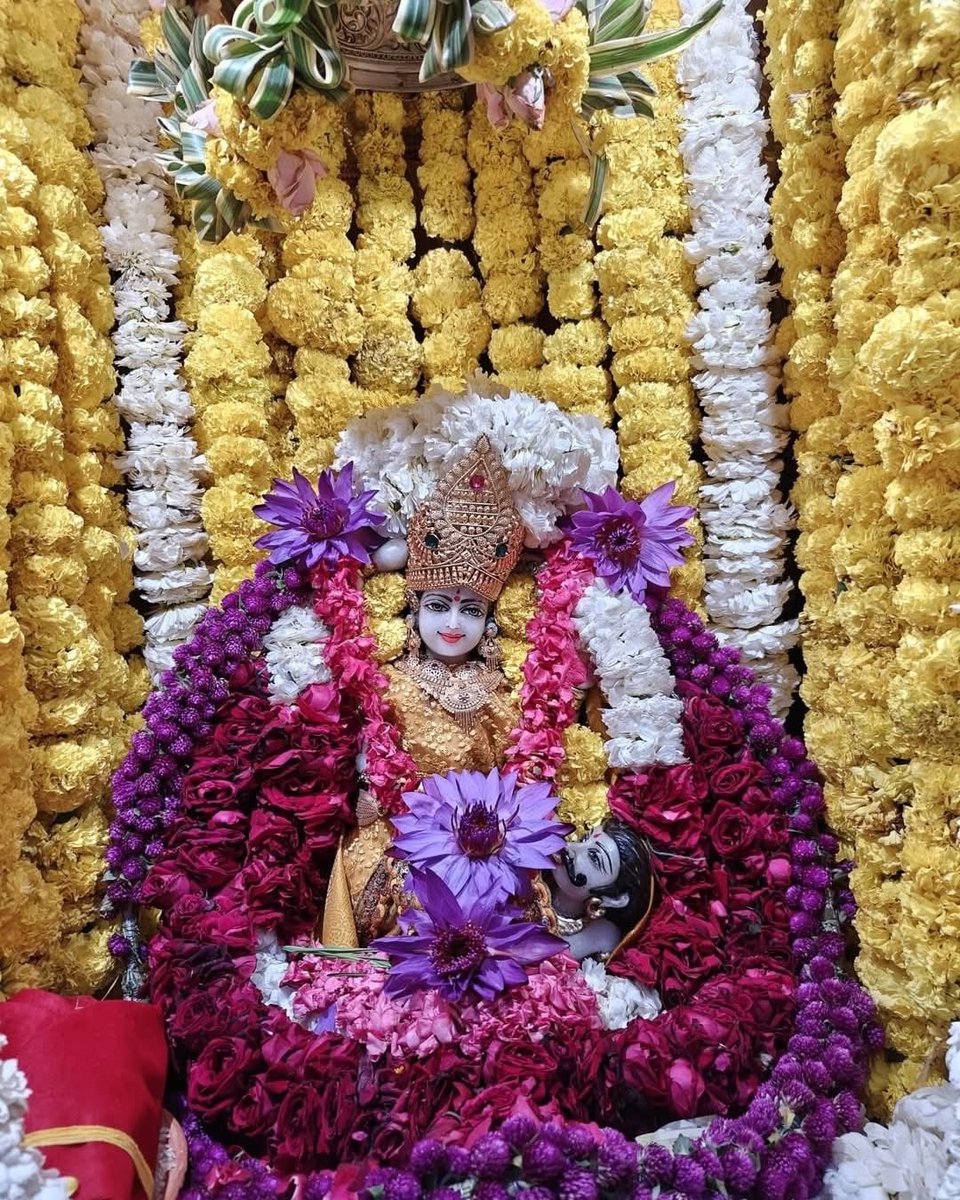 There are only three shortcomings in life: Daaridrya (poverty), Dukha (sorrow), and Bhaya (fear). If Maa Baglamukhi is pleased, all these things will be fixed.