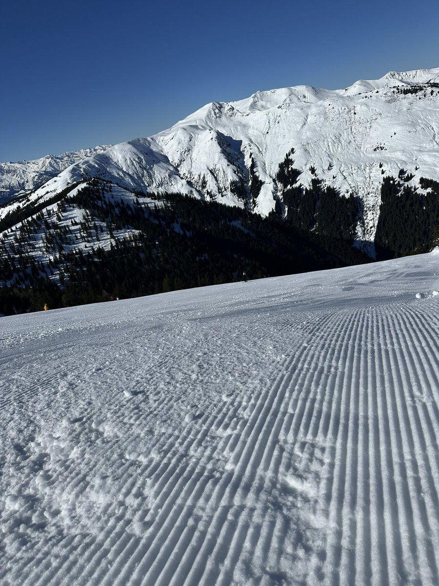 Jakub Voleman tweet media