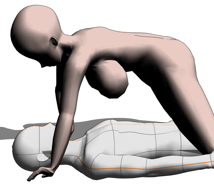 この絵の状況としては横からの図解としては1枚目がそれです。
2枚目だったらメリーは完全に襲う気満々じゃないですか💦 