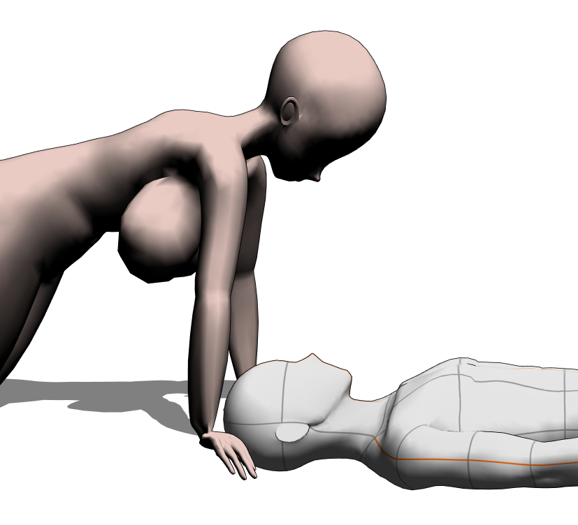 この絵の状況としては横からの図解としては1枚目がそれです。
2枚目だったらメリーは完全に襲う気満々じゃないですか💦 