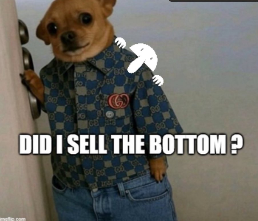 Perfect war ticker guys. I’ve been warning you for daysssss

RIP to all those that sold bottom. You won’t be missed 

$Kilroy was here