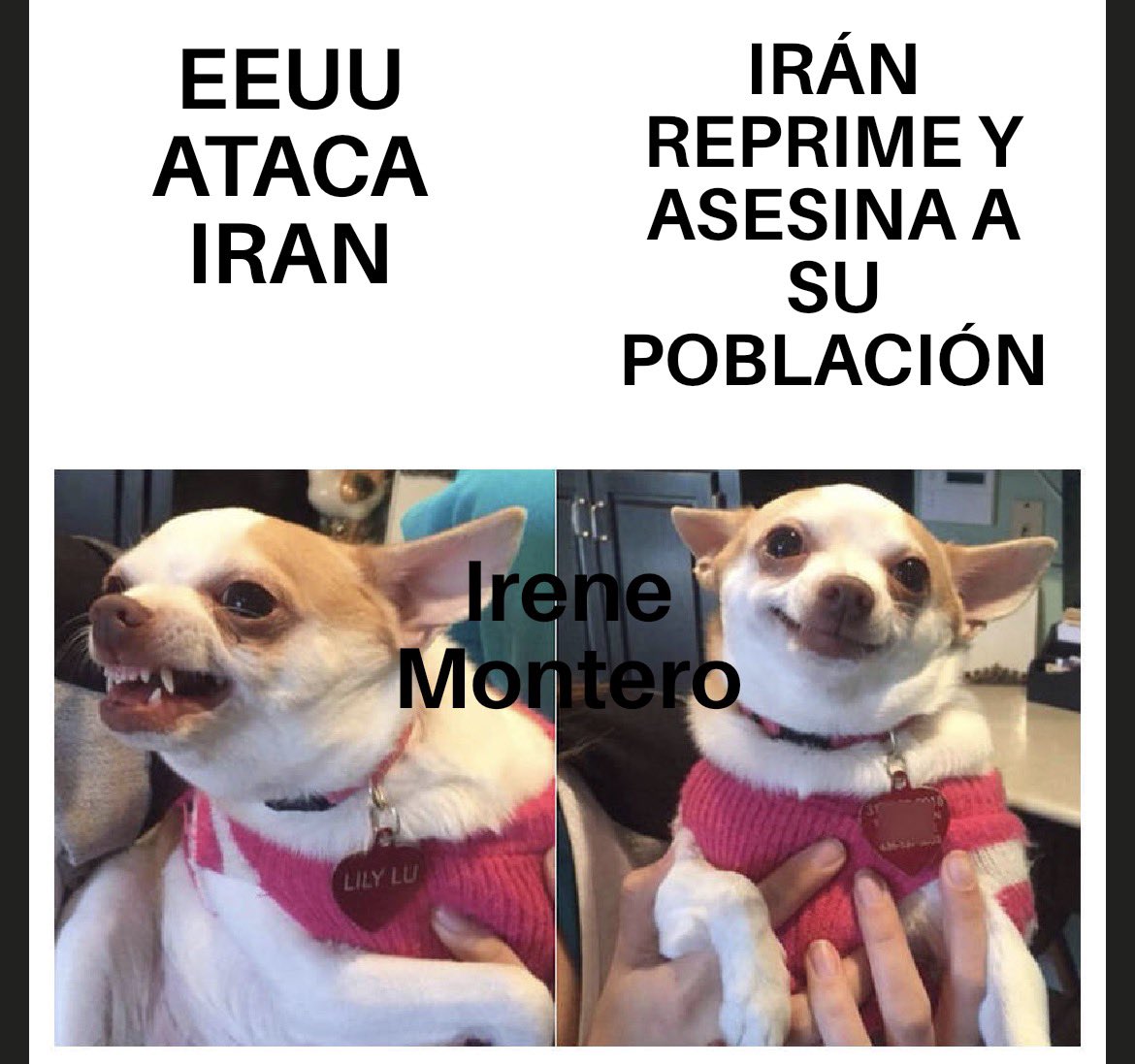 DocHollyday7 tweet media