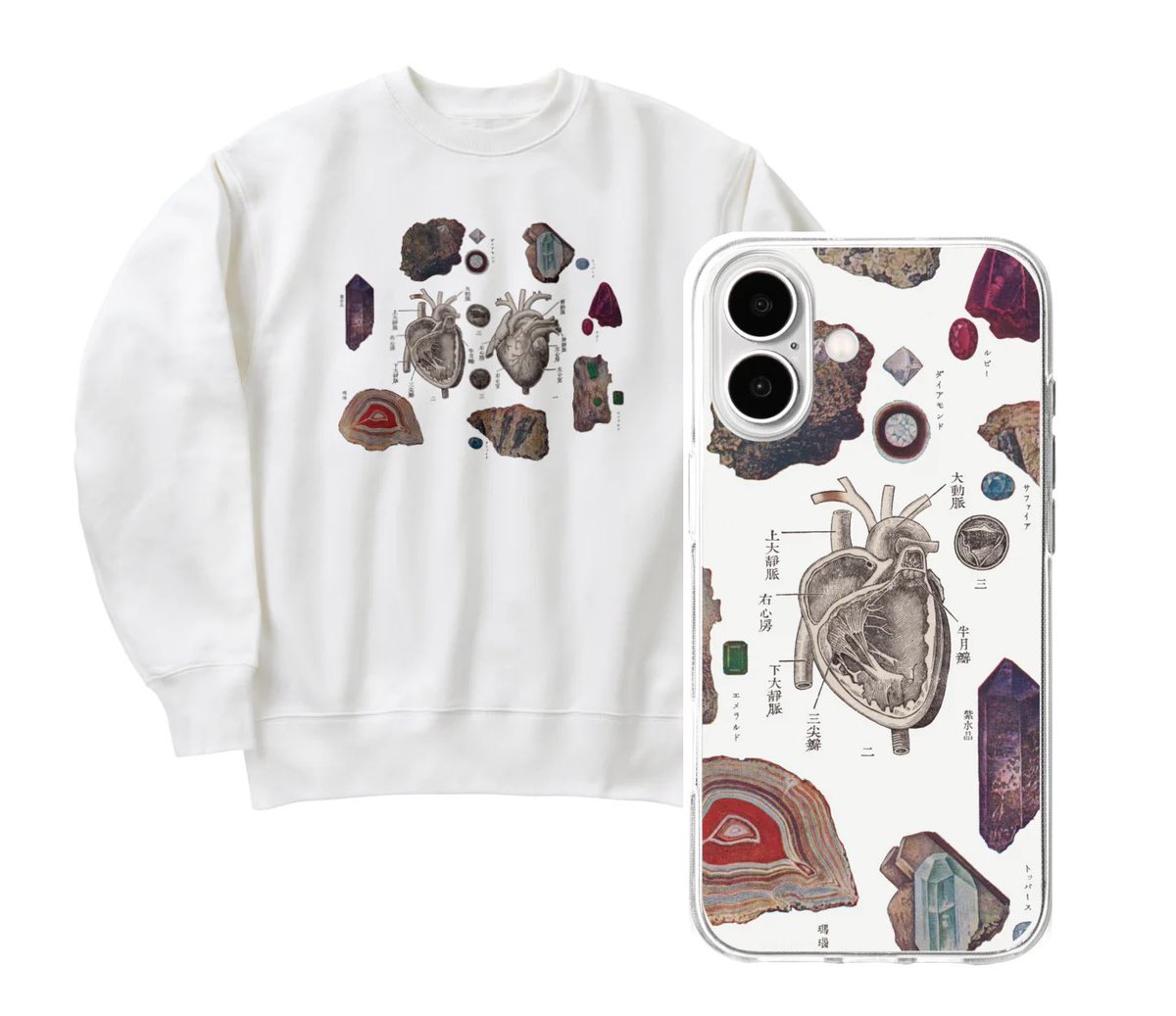 戸桝有馬 tweet media