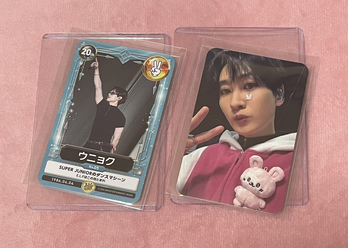 2枚一緒に交換可能な方 よろしくお願いします スペシャルキット2026