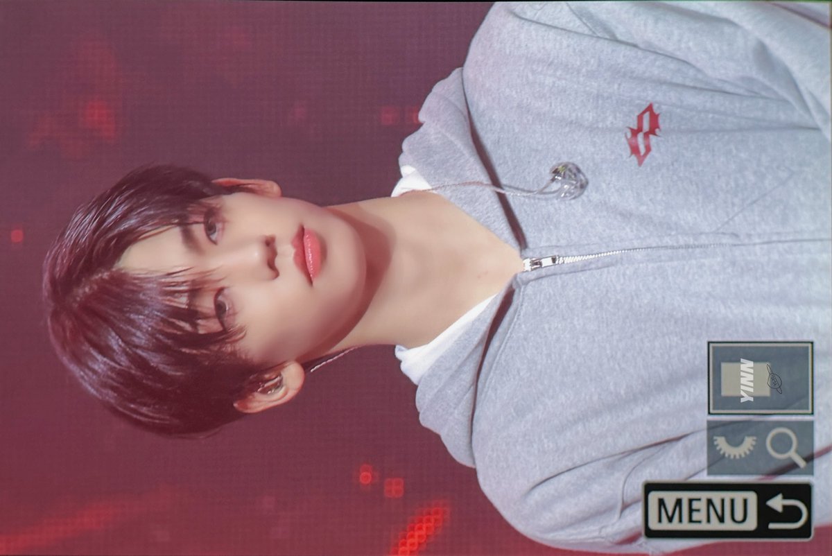 돌고래 해민단 tweet media