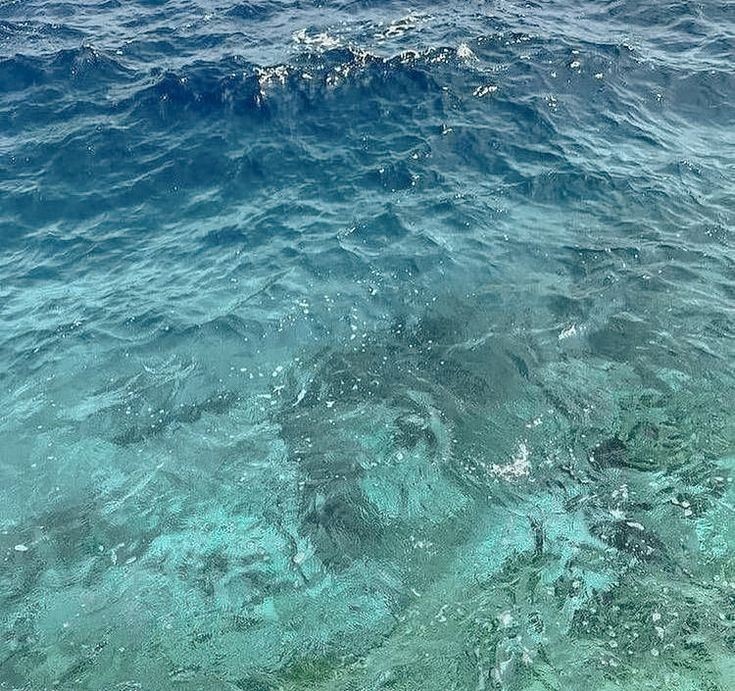 𝒍𝒖𝒏𝒂 tweet media