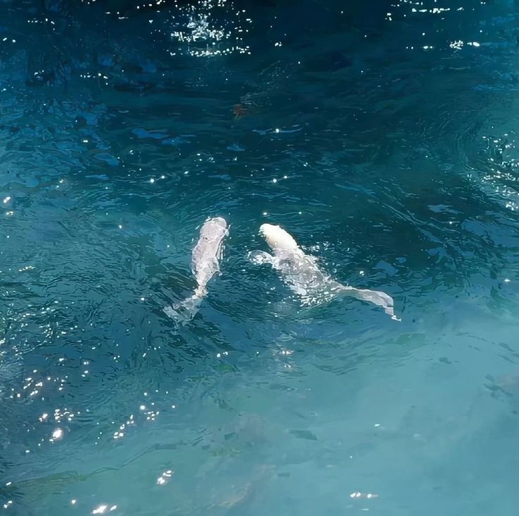 𝒍𝒖𝒏𝒂 tweet media