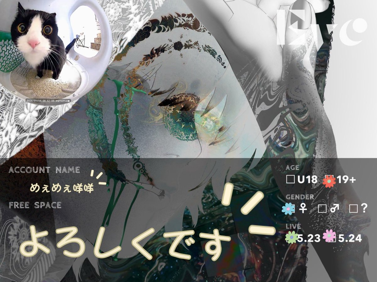 咩咩めぇめぇ🐑✨️（金は貯まんねぇ！! tweet media