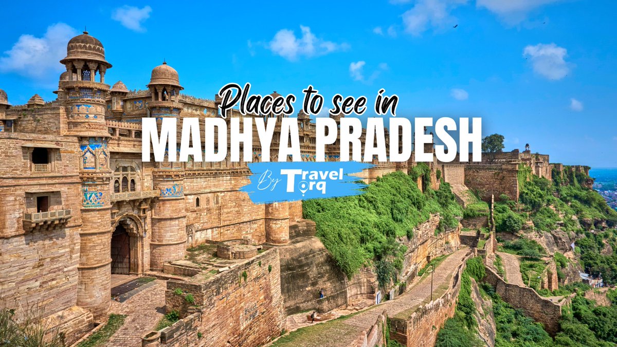TravelTorq's tweet image. Discover the magic of Madhya Pradesh – from mystical temples and royal forts to wild tigers and majestic waterfalls! 🌿

👉 Tap the link to read the full travel guide and plan your next adventure with Travel Torq:
 traveltorq.com/places-to-see-…

#traveltorq #madhyapradeshdiaries