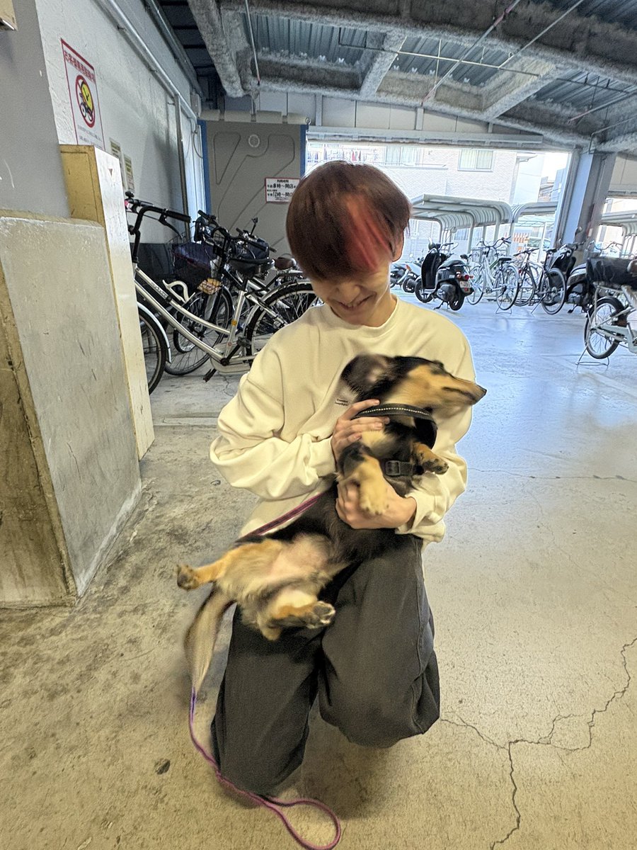 あっつん (@atsushi_0327) / Posts / X