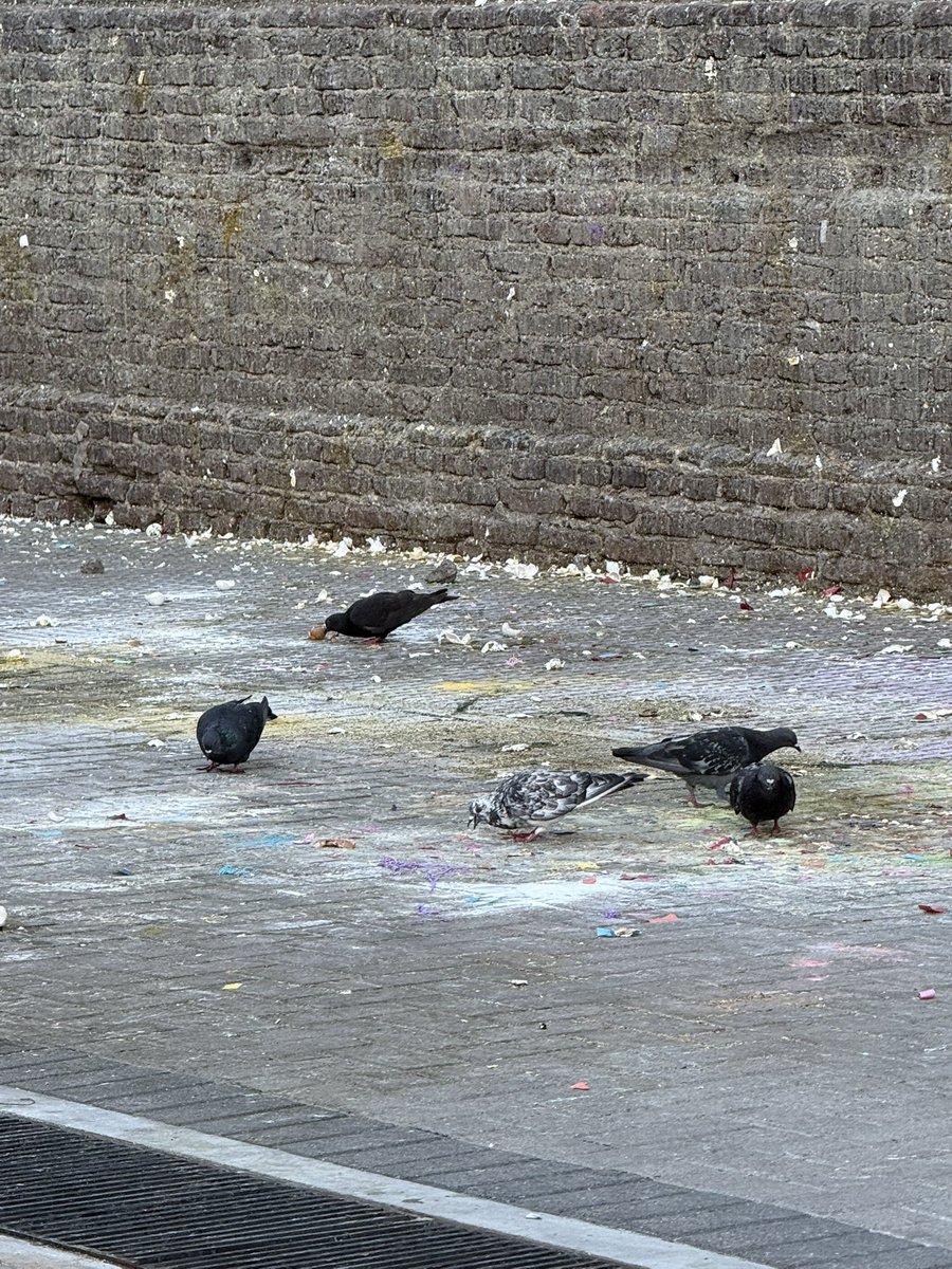 LoHache's tweet photo. @bacomunas buen día, Comuna 2: Quería avisarles que la pared de Facultad de Ingeniería dentro de Plaza Emilio Mitre se encuentra en estado deplorable por los festejos. Imposible respirar del olor a podrido, es un peligro de contaminación. Es un edificio protegido? Gracias https://t.co/ltb2RDeAb4
