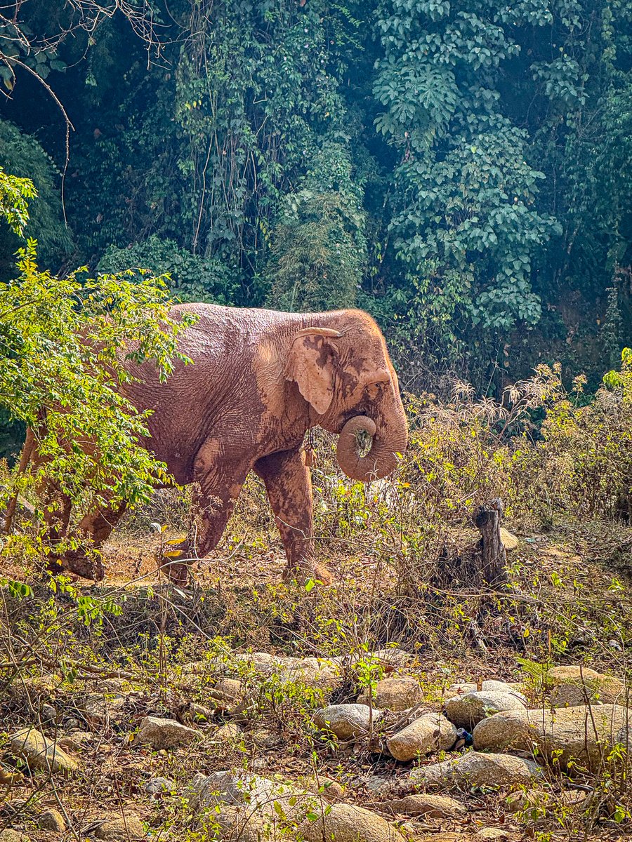 Eddie Jaoude | Open Source | GitHub Star tweet media