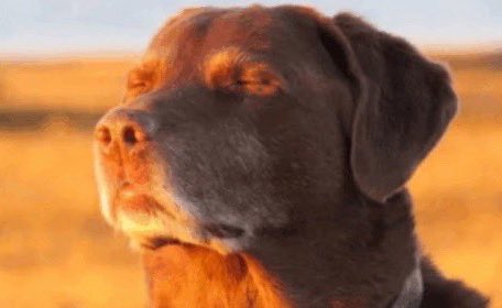 eumppappa hitting the