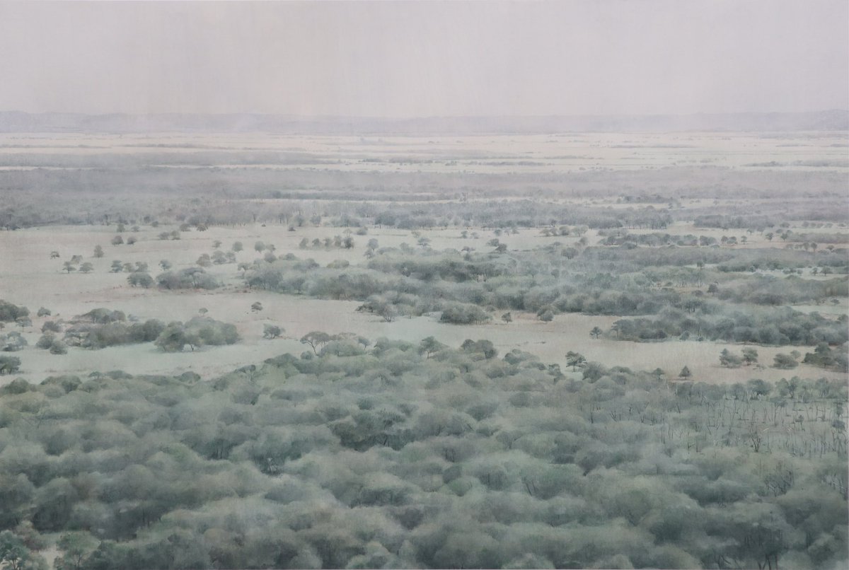 廣島 有華 tweet media