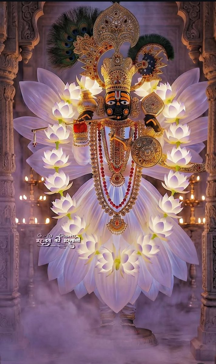 Maharaj Ji tweet media