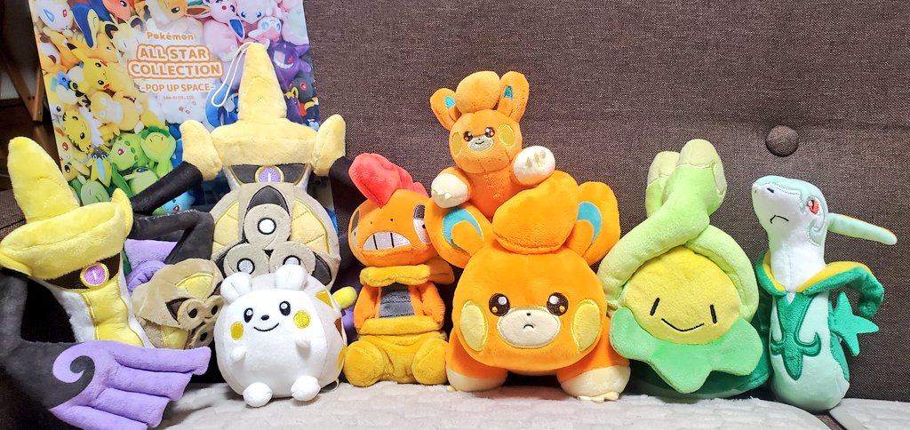 うちのポケモンたちを見てくれ〜！！！！