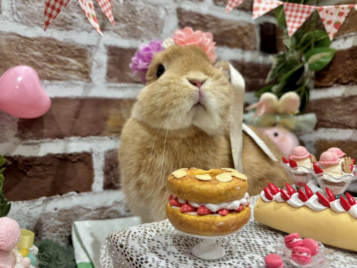 ラストいちごパーティー🍓③ いちご尽くしブースは本日まででした