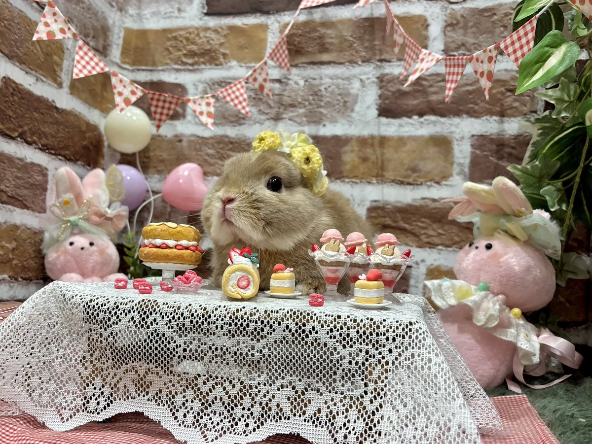 ラストいちごパーティー🍓③ いちご尽くしブースは本日まででした