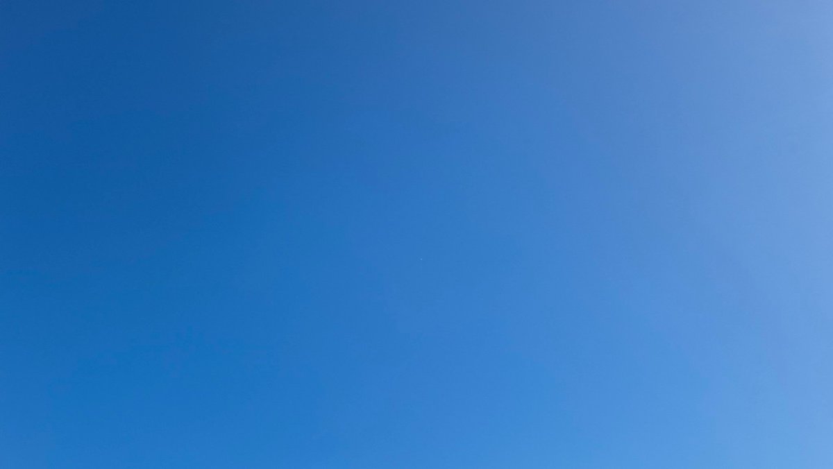 Colm O'Regan tweet media