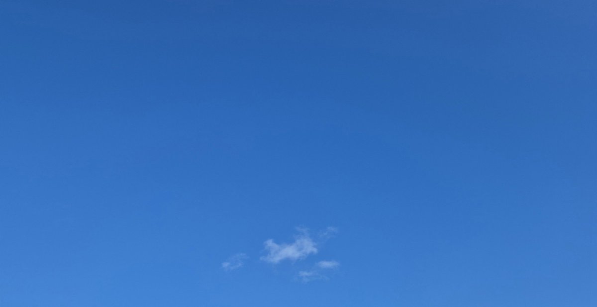 Colm O'Regan tweet media