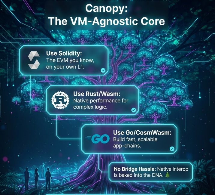 greensimples's tweet photo. @CNPYNetwork is VM-Agnostic. This means your execution environment is modular. Want to build with:

Solidity/EVM? ✅
Rust/Wasm? ✅
Go/CosmWasm? ✅

We aren't asking you to learn our language; we’re giving you the infrastructure to run yours. Bring your dApp home to the Canopy. https://t.co/6PwsASUj9s