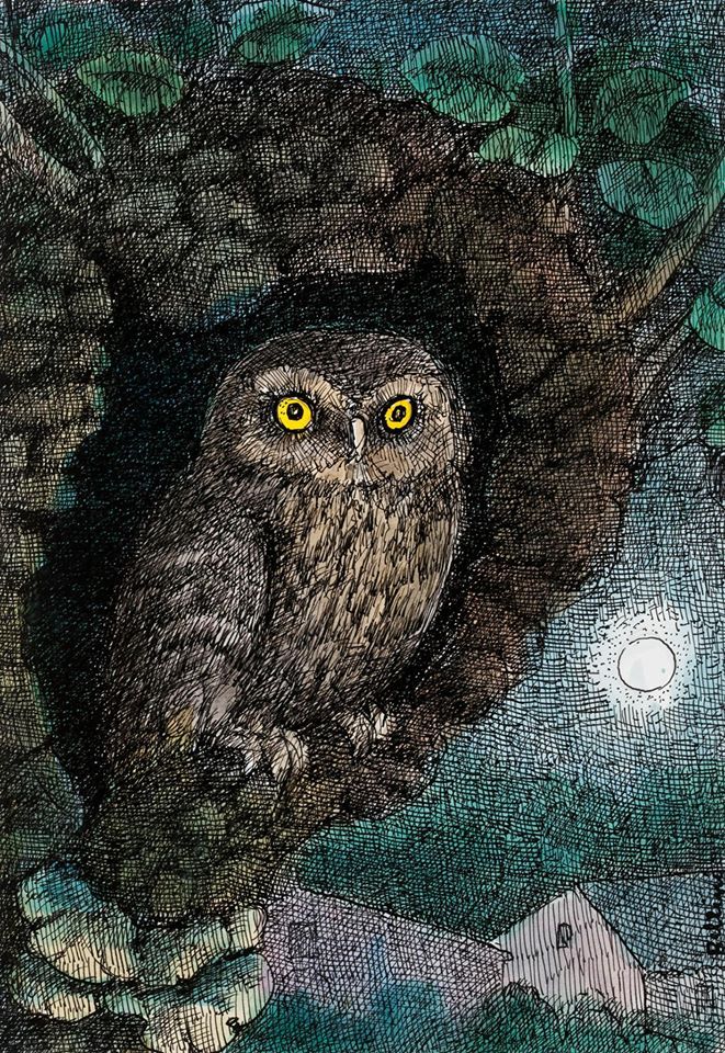 artenpedia's tweet photo. Owl  in the Nest   -    Enzo Bellini, 1966. Italian,b.1932- Watercolor, ink, drawing , 27 x 19 cm. https://t.co/w46XupDnSA