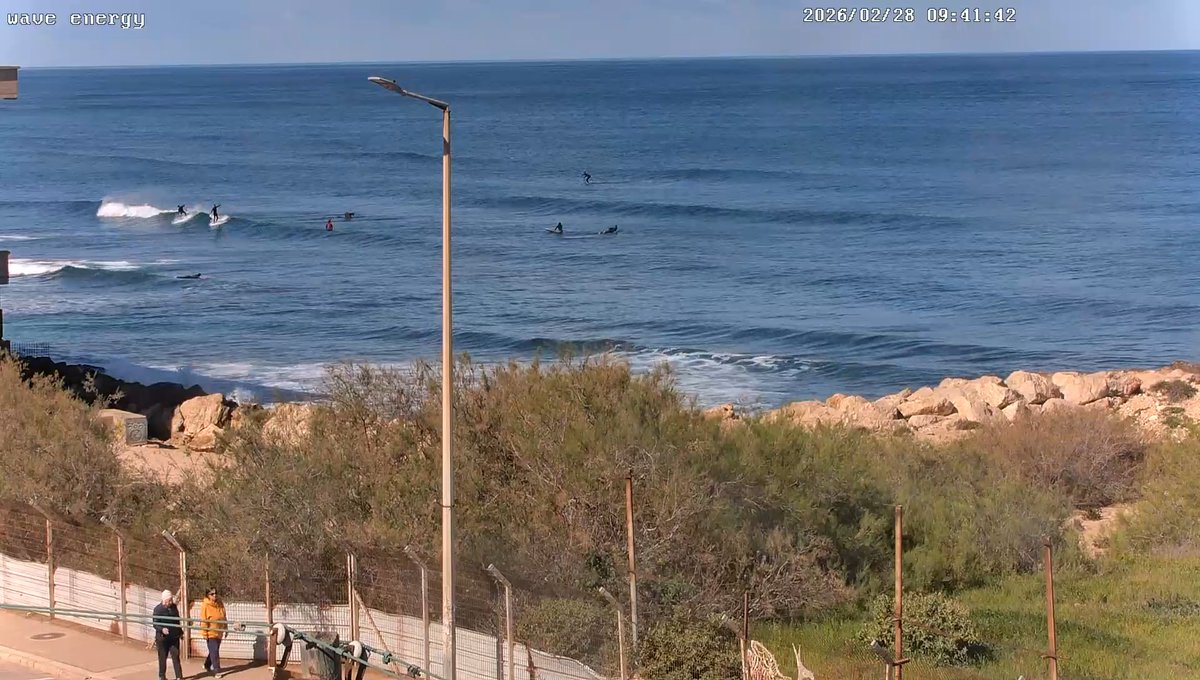 Jessica Rose 🤙 tweet media